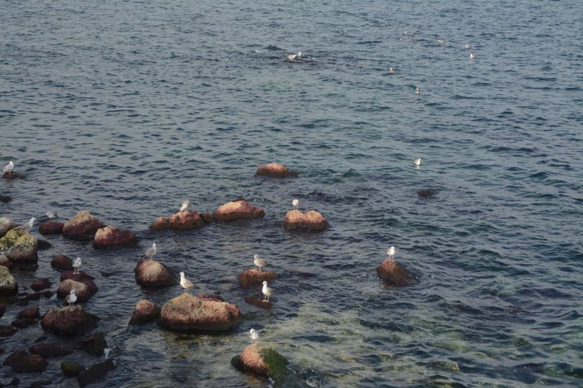  - 2019 18 20 octombrie 2019 CONSTANTA VIV