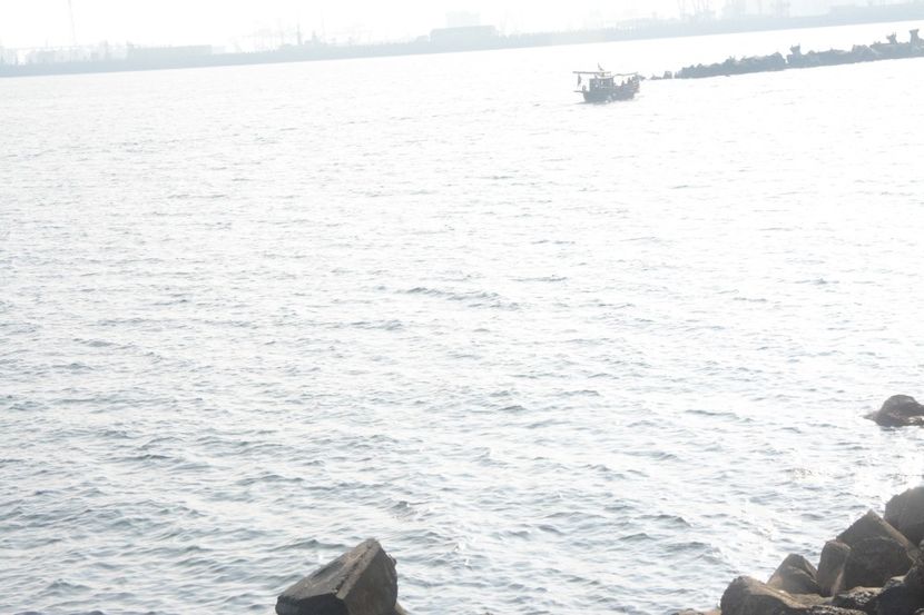  - 2019 18 20 octombrie 2019 CONSTANTA VIV