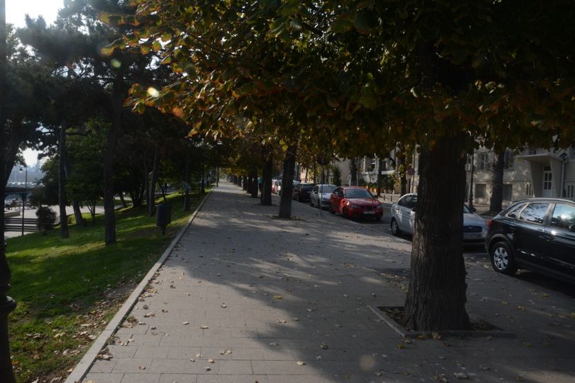  - 2019 18 20 octombrie 2019 CONSTANTA VIV
