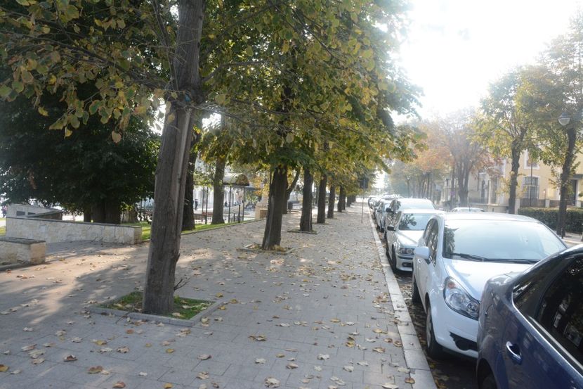  - 2019 18 20 octombrie 2019 CONSTANTA VIV