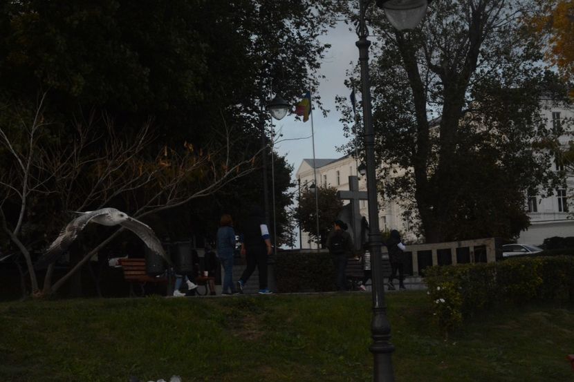  - 2019 18 20 octombrie 2019 CONSTANTA VIV