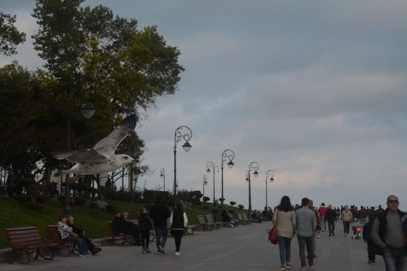  - 2019 18 20 octombrie 2019 CONSTANTA VIV