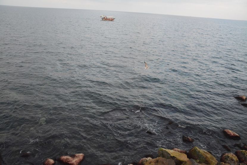  - 2019 18 20 octombrie 2019 CONSTANTA VIV