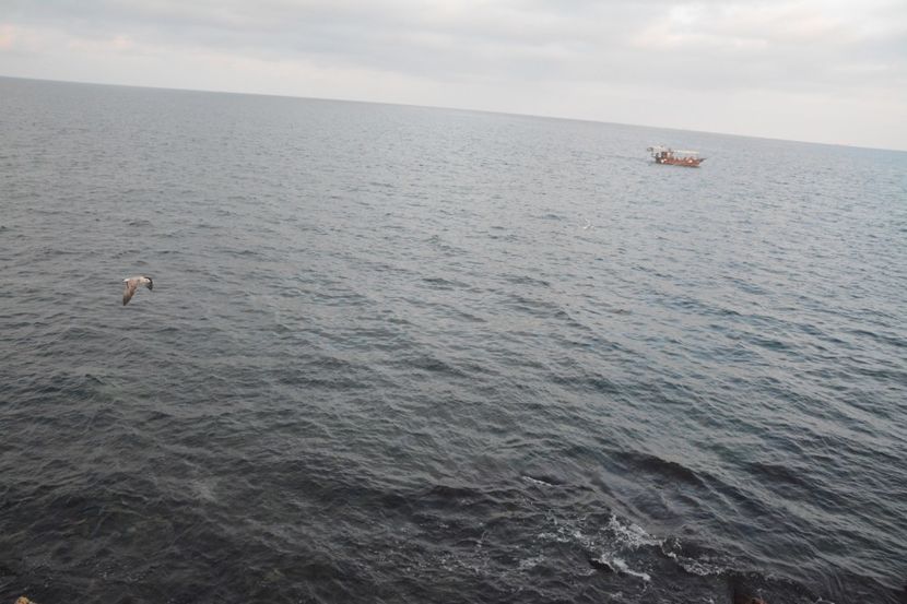  - 2019 18 20 octombrie 2019 CONSTANTA VIV