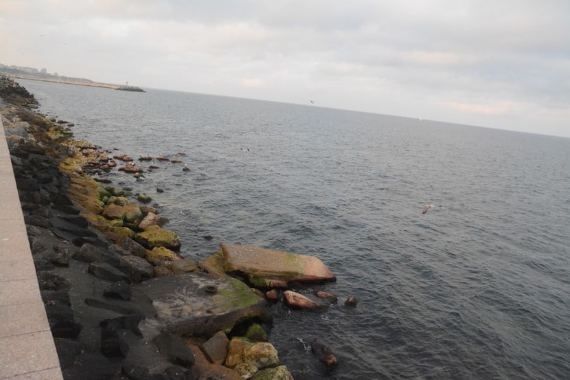  - 2019 18 20 octombrie 2019 CONSTANTA VIV