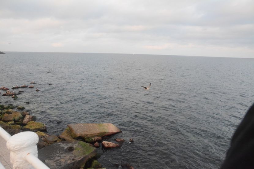  - 2019 18 20 octombrie 2019 CONSTANTA VIV