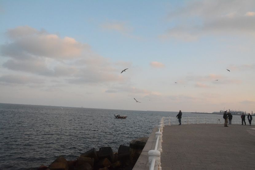  - 2019 18 20 octombrie 2019 CONSTANTA VIV