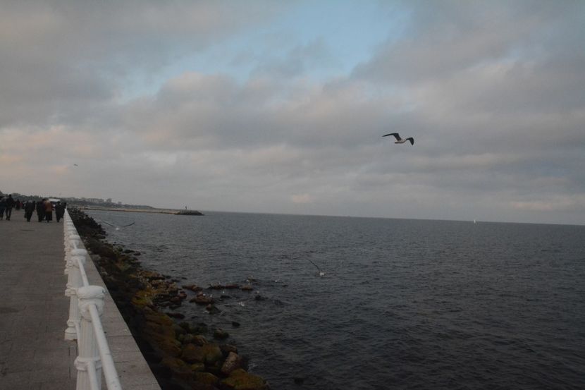  - 2019 18 20 octombrie 2019 CONSTANTA VIV