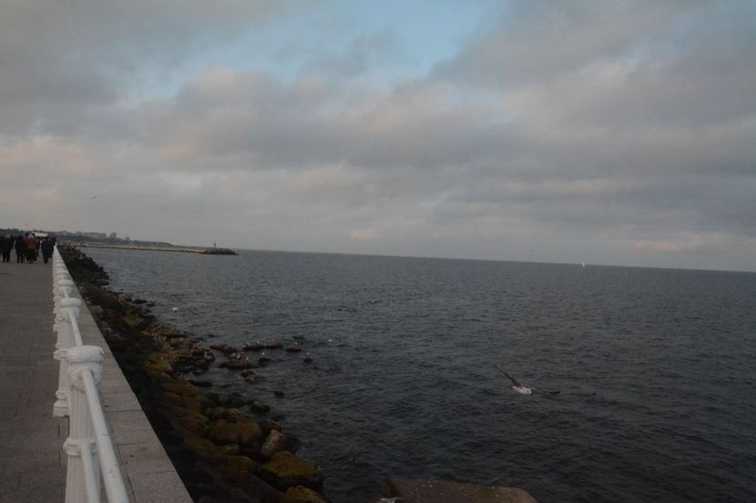  - 2019 18 20 octombrie 2019 CONSTANTA VIV