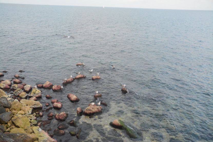  - 2019 18 20 octombrie 2019 CONSTANTA VIV