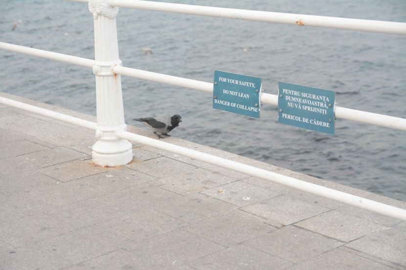  - 2019 18 20 octombrie 2019 CONSTANTA VIV