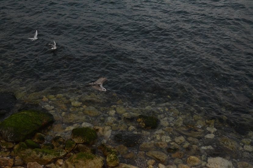  - 2019 18 20 octombrie 2019 CONSTANTA VIV