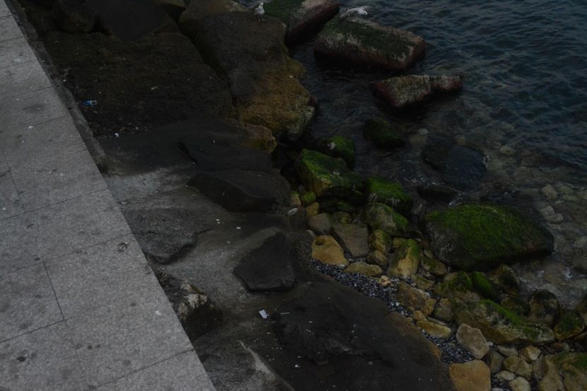  - 2019 18 20 octombrie 2019 CONSTANTA VIV
