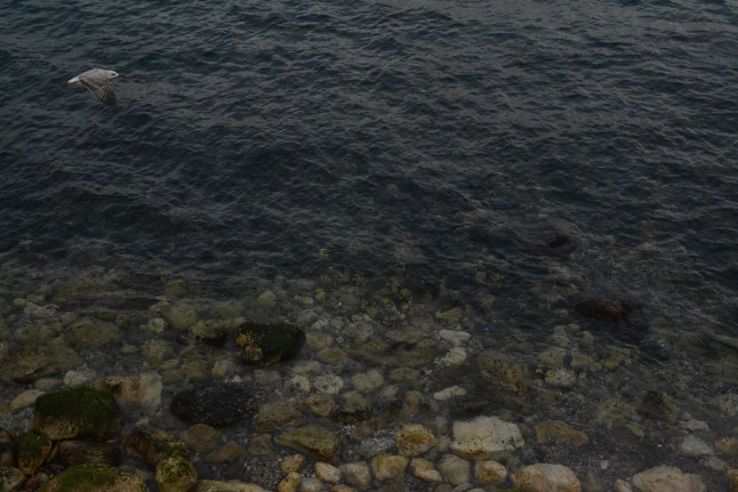  - 2019 18 20 octombrie 2019 CONSTANTA VIV