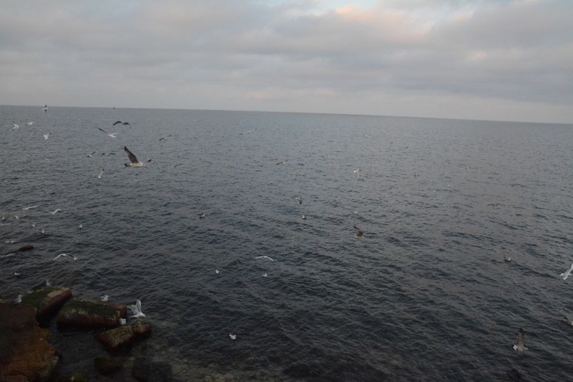  - 2019 18 20 octombrie 2019 CONSTANTA VIV