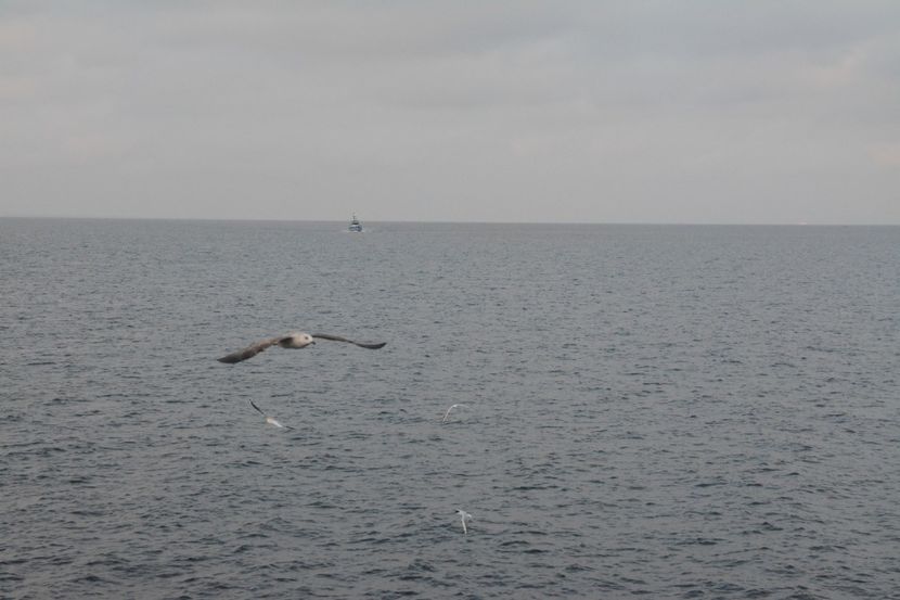  - 2019 18 20 octombrie 2019 CONSTANTA VIV