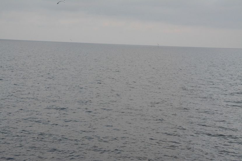  - 2019 18 20 octombrie 2019 CONSTANTA VIV