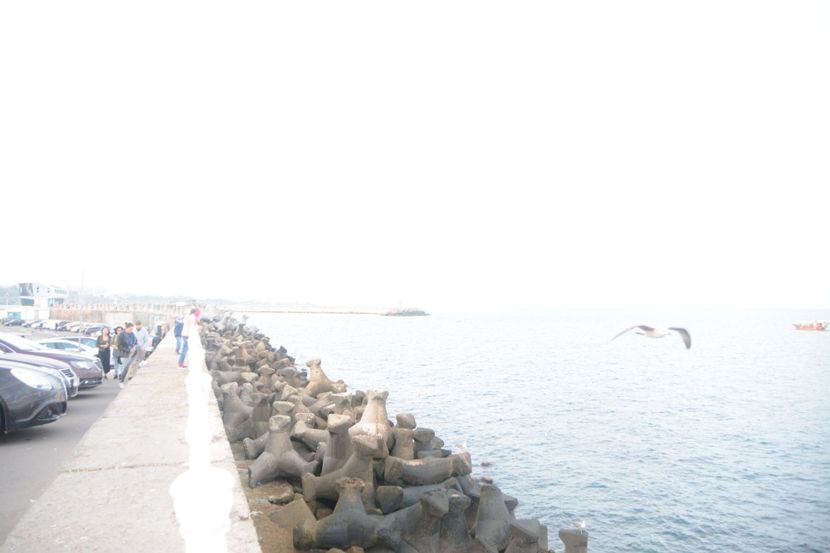  - 2019 18 20 octombrie 2019 CONSTANTA VIV