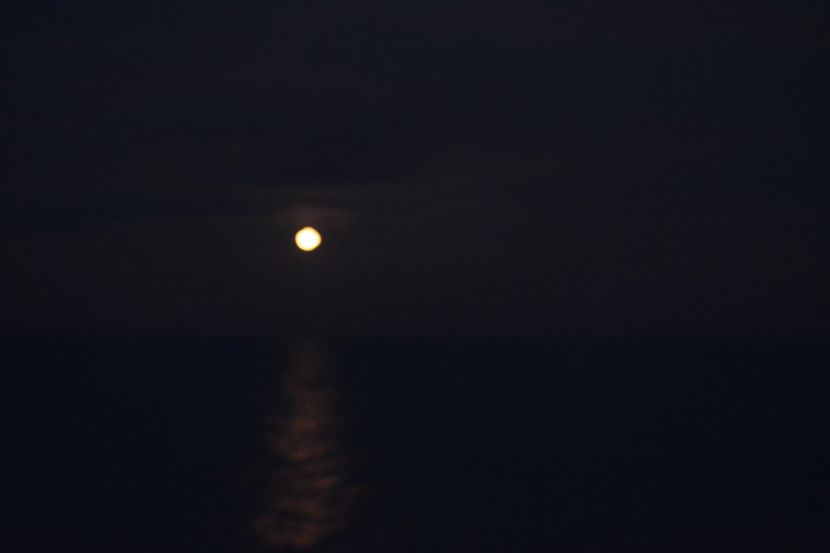  - 2019 18 20 octombrie 2019 CONSTANTA VIV