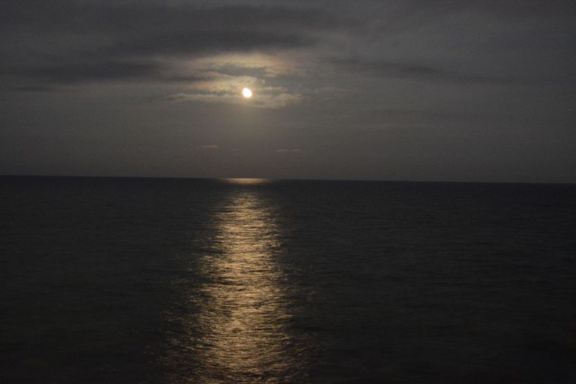  - 2019 18 20 octombrie 2019 CONSTANTA VIV