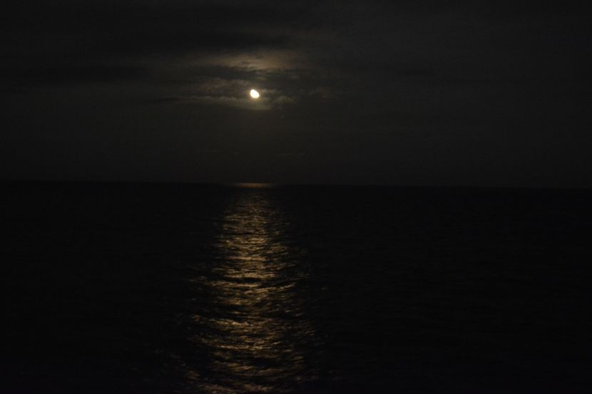  - 2019 18 20 octombrie 2019 CONSTANTA VIV