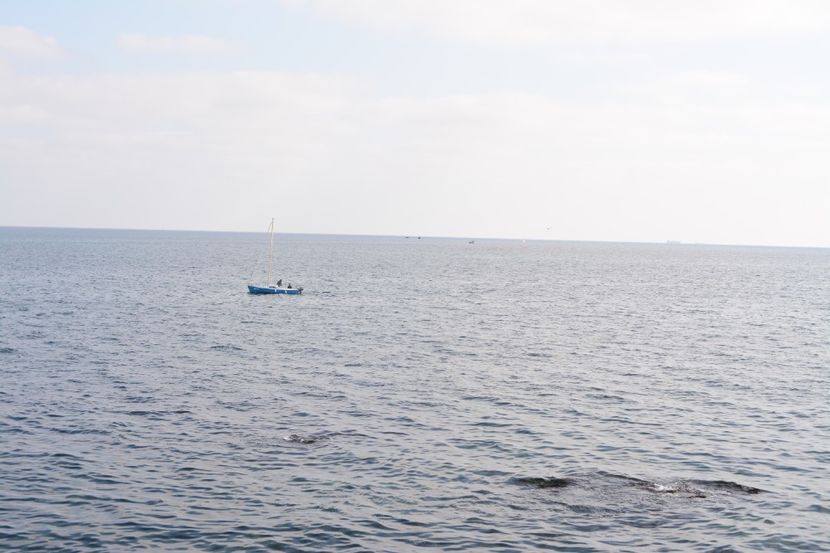  - 2019 18 20 octombrie 2019 CONSTANTA VIV