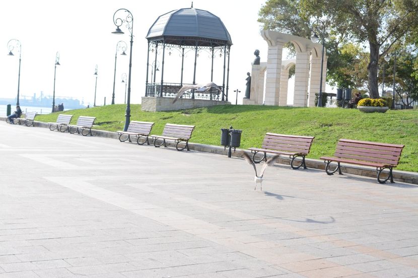  - 2019 18 20 octombrie 2019 CONSTANTA VIV