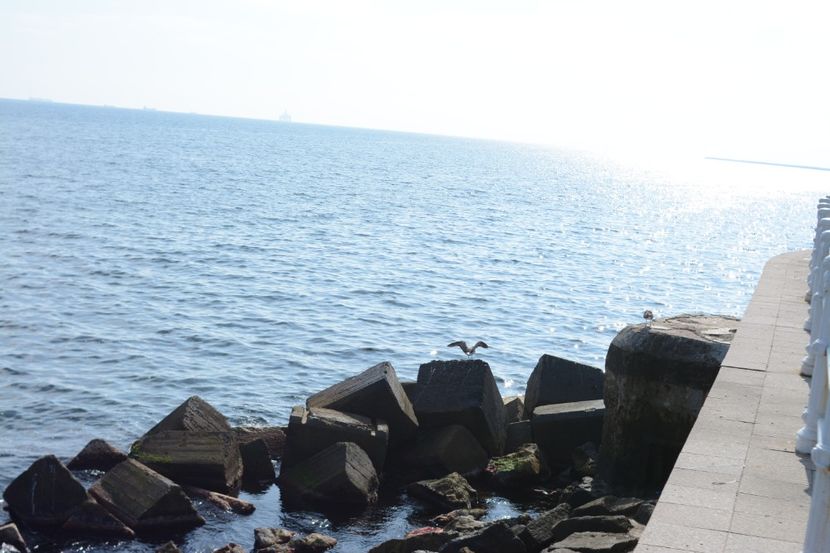  - 2019 18 20 octombrie 2019 CONSTANTA VIV