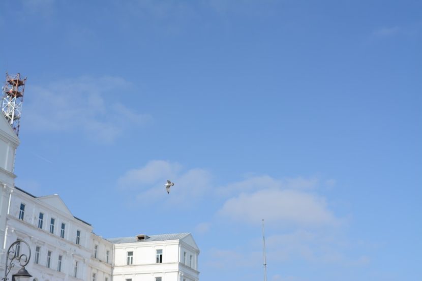  - 2019 18 20 octombrie 2019 CONSTANTA VIV