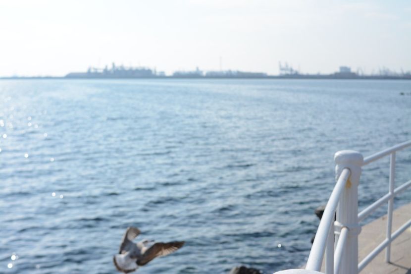  - 2019 18 20 octombrie 2019 CONSTANTA VIV