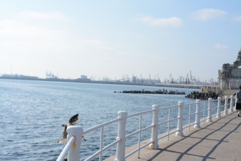  - 2019 18 20 octombrie 2019 CONSTANTA VIV