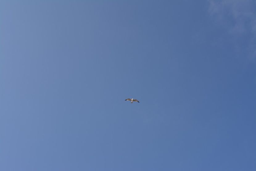  - 2019 18 20 octombrie 2019 CONSTANTA VIV