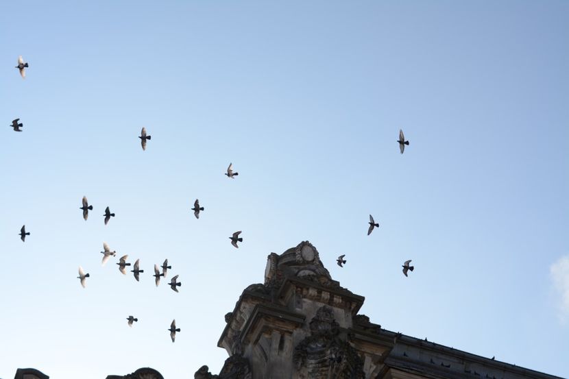  - 2019 18 20 octombrie 2019 CONSTANTA VIV