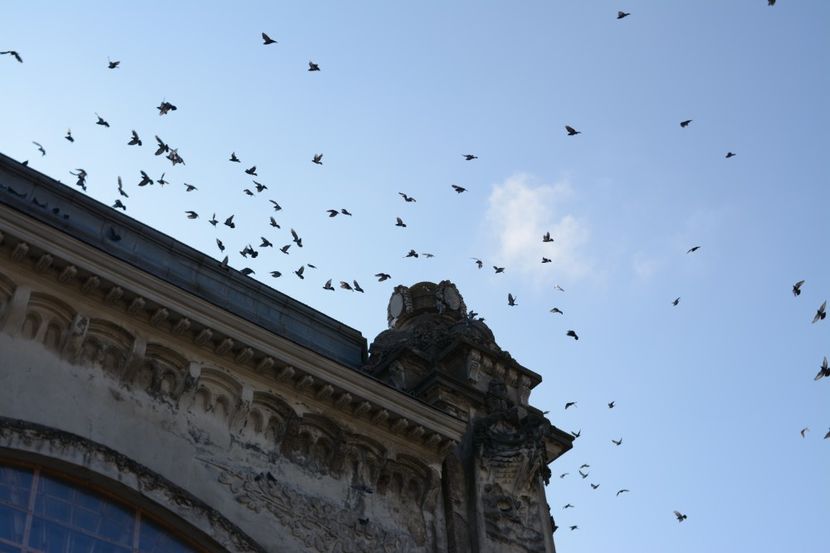  - 2019 18 20 octombrie 2019 CONSTANTA VIV