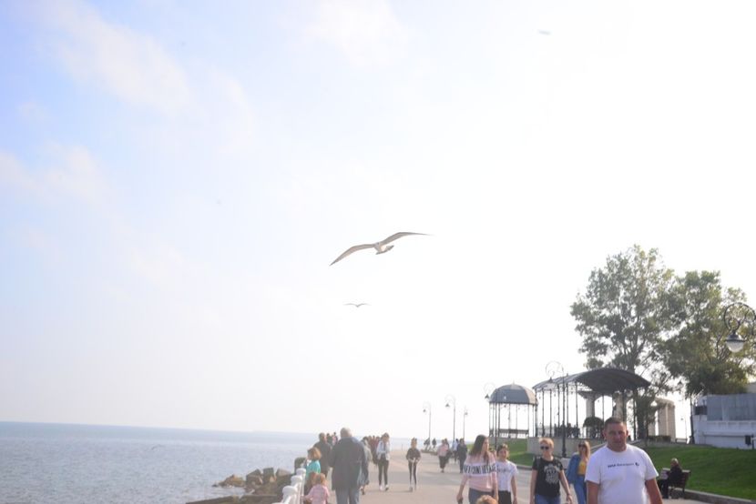  - 2019 18 20 octombrie 2019 CONSTANTA LO