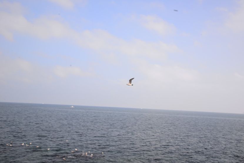  - 2019 18 20 octombrie 2019 CONSTANTA LO