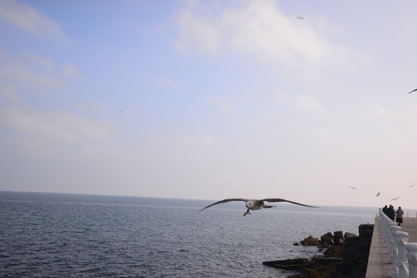  - 2019 18 20 octombrie 2019 CONSTANTA LO