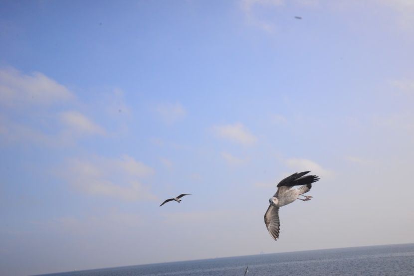  - 2019 18 20 octombrie 2019 CONSTANTA LO