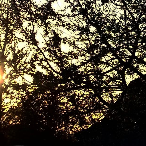  - - O - Fotografii x