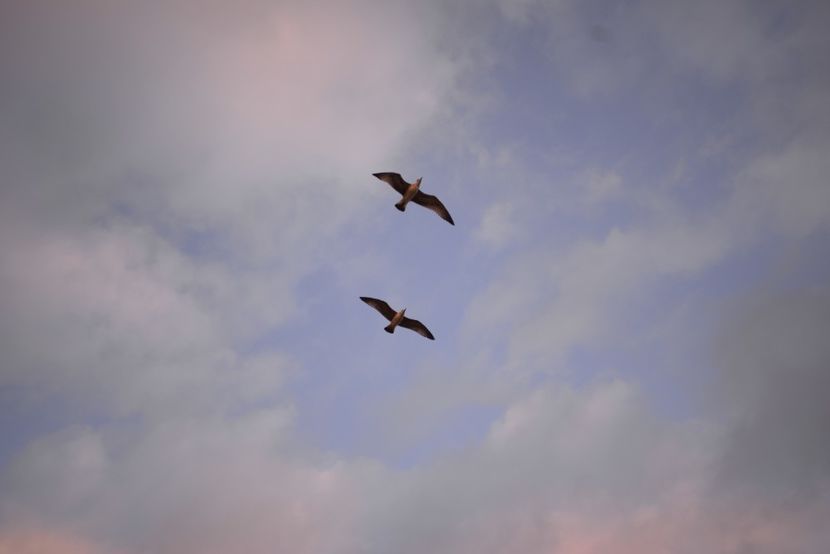  - 2019 18 20 octombrie 2019 CONSTANTA LO