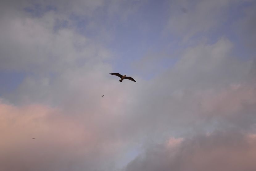  - 2019 18 20 octombrie 2019 CONSTANTA LO