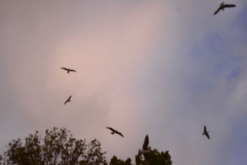  - 2019 18 20 octombrie 2019 CONSTANTA LO