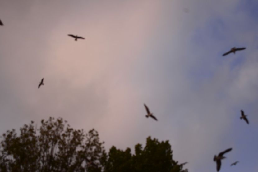  - 2019 18 20 octombrie 2019 CONSTANTA LO