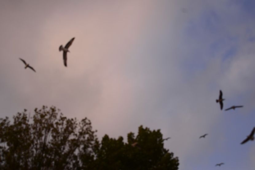  - 2019 18 20 octombrie 2019 CONSTANTA LO