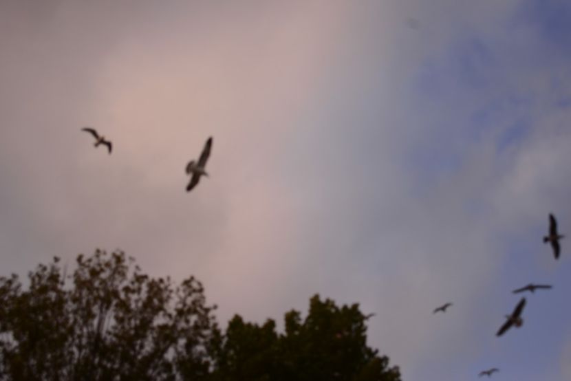  - 2019 18 20 octombrie 2019 CONSTANTA LO