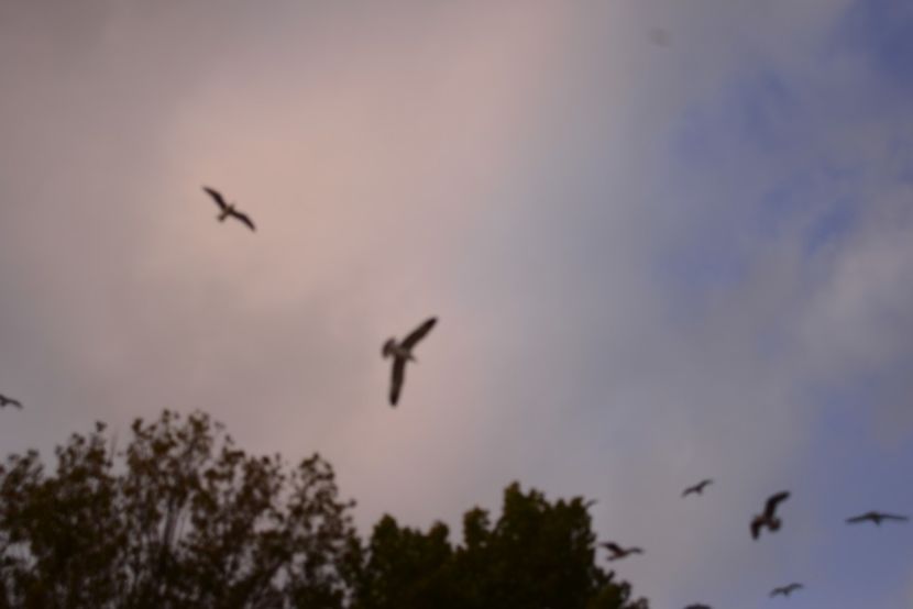  - 2019 18 20 octombrie 2019 CONSTANTA LO