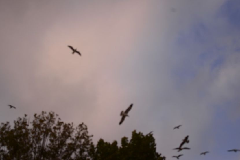  - 2019 18 20 octombrie 2019 CONSTANTA LO