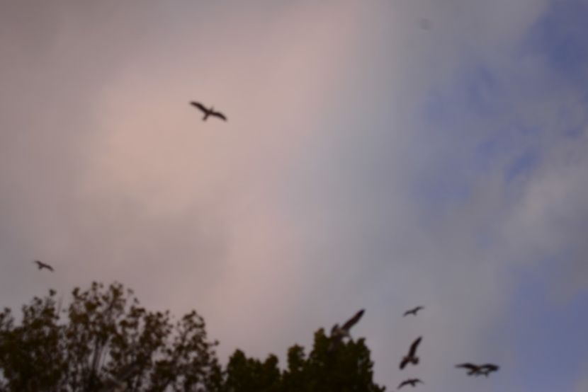  - 2019 18 20 octombrie 2019 CONSTANTA LO