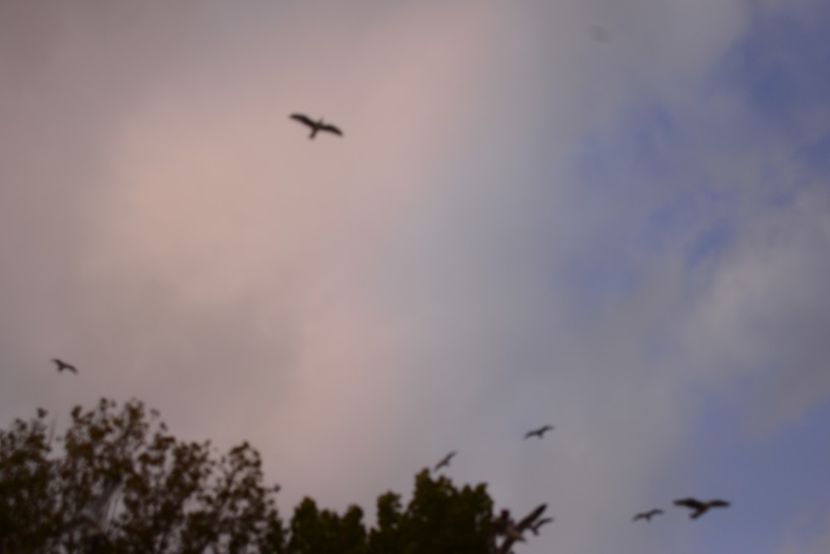  - 2019 18 20 octombrie 2019 CONSTANTA LO