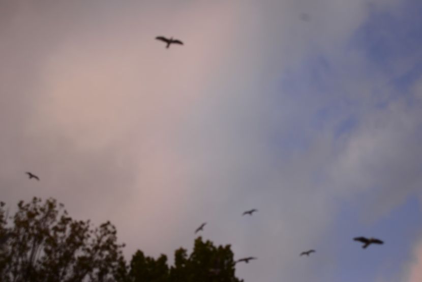  - 2019 18 20 octombrie 2019 CONSTANTA LO